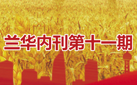 兰华内刊第十一期